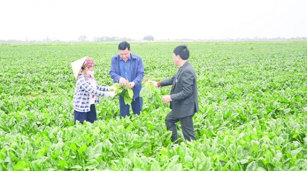 Thanh Hóa: Thẩm định xã Phú Lộc đạt chuẩn nông thôn mới kiểu mẫu