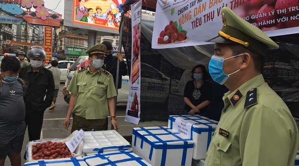 Cục Quản lý thị trường tỉnh Lào Cai triển khai các giải pháp hỗ trợ tiêu thụ vải thiều Bắc Giang