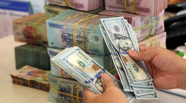 Tỷ giá trung tâm của đồng Việt Nam 12/6 ở mức 23.101 VND/USD