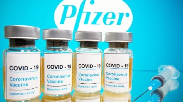 Ngành QLTT: Tổ chức tập huấn phân biệt vắc-xin Pfizer chính hãng