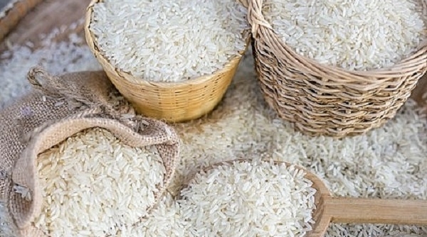 Giá lúa gạo ngày 16/6: Giá một số gạo nguyên liệu tăng lại