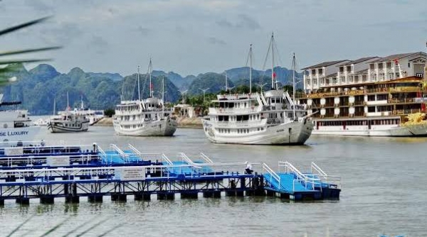 Miễn phí vé tham quan vịnh Hạ Long, Yên Tử