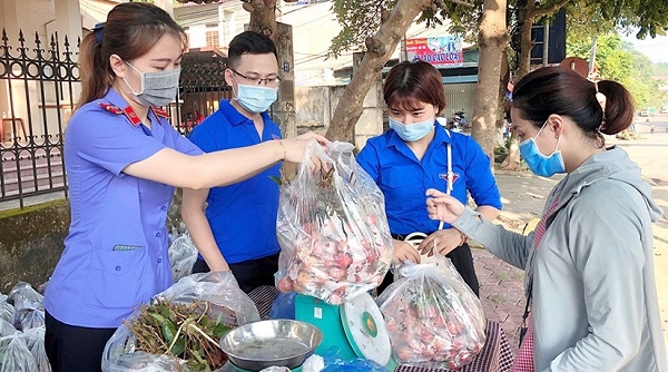 Chiêm Hoá (Tuyên Quang) hỗ trợ tiêu thụ vải thiều Bắc Giang