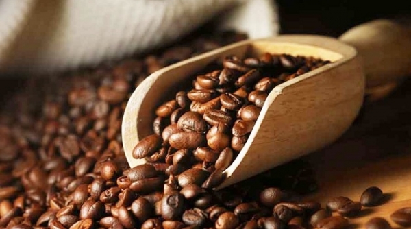 Giá cà phê ngày 19/6: Robusta khó bứt phá trên 1.600 USD, arabica trượt khỏi xu hướng tăng