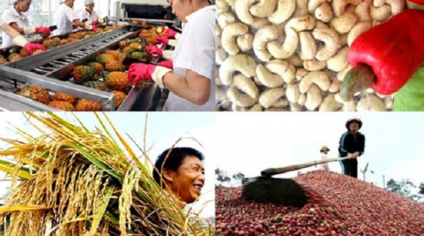 Thanh Hóa: Đổi mới phương thức kinh doanh, tiêu thụ nông sản giai đoạn 2021-2025, định hướng đến năm 2030