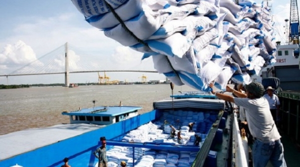 Bộ Công Thương: Lập đoàn công tác kiểm tra 5 doanh nghiệp xuất nhập khẩu gạo