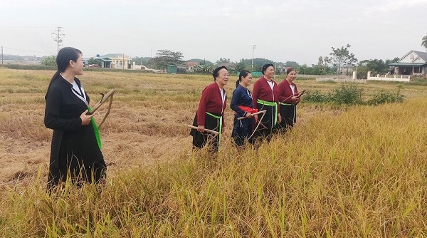 Huyện Vân Đồn (Quảng Ninh): Bảo tồn, phát triển văn hóa truyền thống dân tộc Sán Dìu