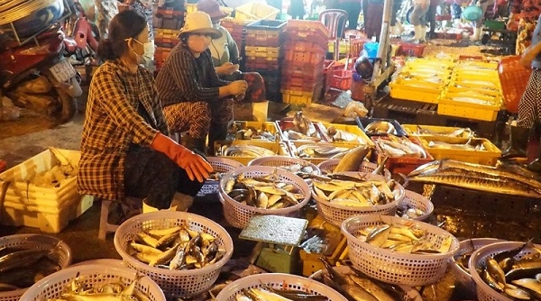 Đà Nẵng: Sẽ tạm dừng cảng cá lớn nhất miền Trung