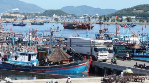 Đà Nẵng: Tạm dừng hoạt động cảng cá lớn nhất miền Trung từ 15 giờ ngày 26/7