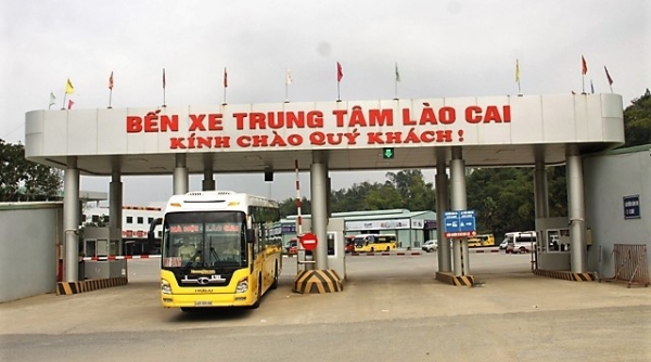 Lào Cai: Tạm dừng hoạt động vận tải hành khách liên tỉnh từ ngày 27/7