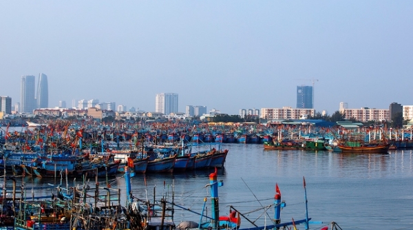 Đà Nẵng: Lên kế hoạch cho 82 tàu cá đánh bắt xa bờ cập cảng cá Thọ Quang trong những ngày sắp tới