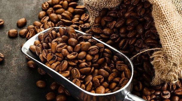 Giá cà phê ngày 28/7: Giao dịch trong khoảng 37.200 - 38.100 đồng/kg
