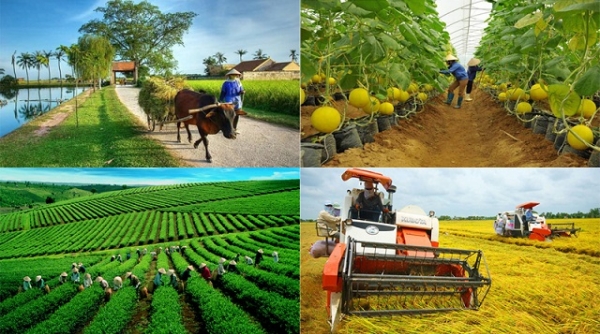 Thanh Hóa: Xây dựng 10 cơ chế, chính sách phát triển nông nghiệp, nông thôn trên địa bàn giai đoạn 2021-2025