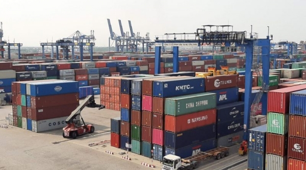Cục Hải quan TP. HCM đề xuất giải pháp xử lý tình trạng hàng tồn đọng tại cảng Cát Lái