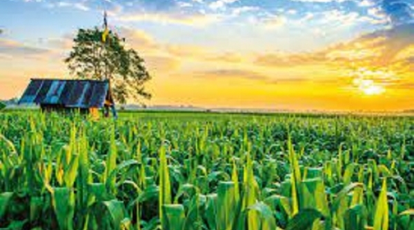 Tỉnh Thanh Hóa có 12 sản phẩm nông nghiệp chủ lực