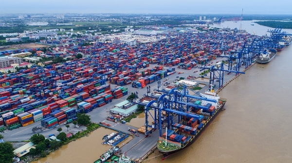 Cục Hàng hải đề nghị không thu phí điều chỉnh thông tin cho hàng chuyển từ cảng Cát Lái