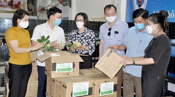 Hội Nông dân tỉnh Tuyên Quang chung tay hỗ trợ tiêu thụ nông sản bị ảnh hưởng dịch bệnh Covid-19