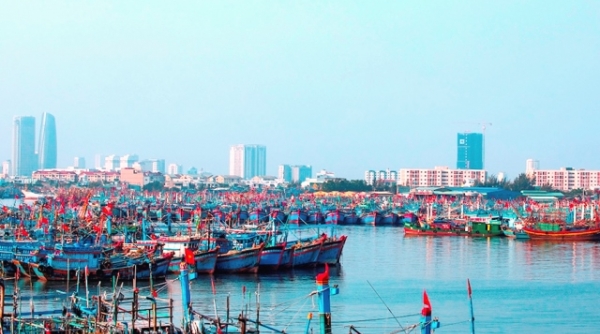Đà Nẵng: Cho phép các tàu cá, được cập cảng cá Thọ Quang, mỗi tàu chỉ để lại một thuyền viên