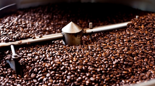 Giá cà phê ngày 15/8: Tuần này, giá cà phê tăng gần 1.000 đồng/kg/tuần