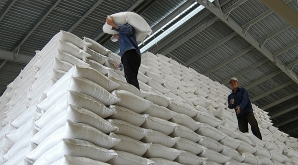 Các tỉnh, thành phố nào được hỗ trợ từ 130.000 tấn gạo theo quyết định của Thủ tướng