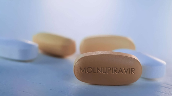 Đưa thuốc kháng virus Molnupiravir vào cộng đồng điều trị cho F0