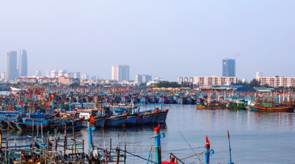 Đà Nẵng: Chuẩn bị phương án đưa cảng cá Thọ Quang hoạt động trở lại bảo đảm phòng chống Covid-19