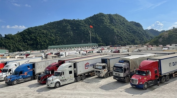 Trung Quốc tạm dừng xuất nhập khẩu tại một cửa khẩu với Lạng Sơn