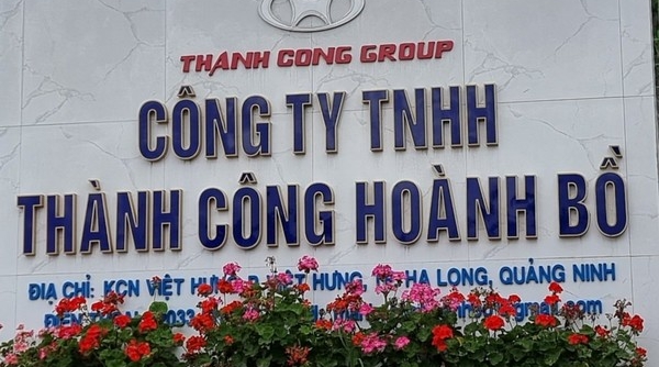 Quảng Ninh: Xử phạt 300 triệu đồng đối với công ty có hành vi huỷ hoại đất