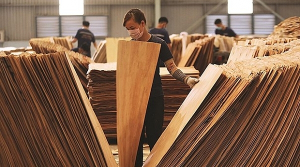Hoa Kỳ gia hạn ban hành kết luận điều tra chống lẩn tránh thuế gỗ dán cứng từ Việt Nam