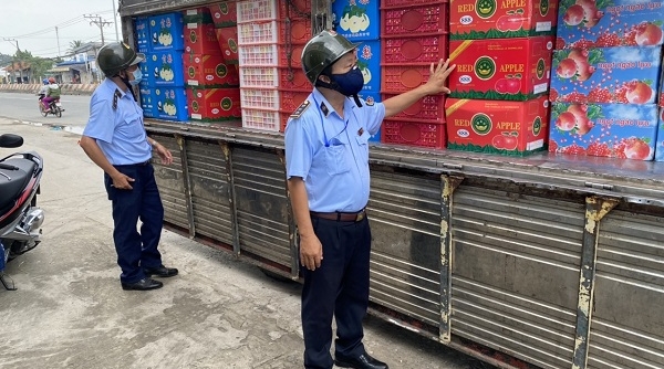Tiền Giang: Phát hiện 3,5 tấn trái cây Trung Quốc vi phạm nhãn