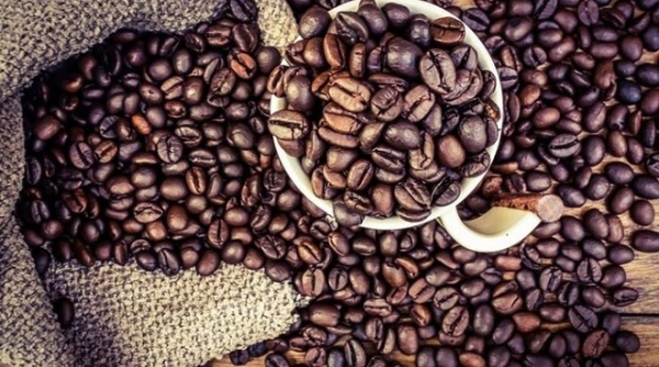 Giá cà phê hôm nay 6/9: Tăng nhẹ trong nước, cao nhất ở mức 40.100đ/kg
