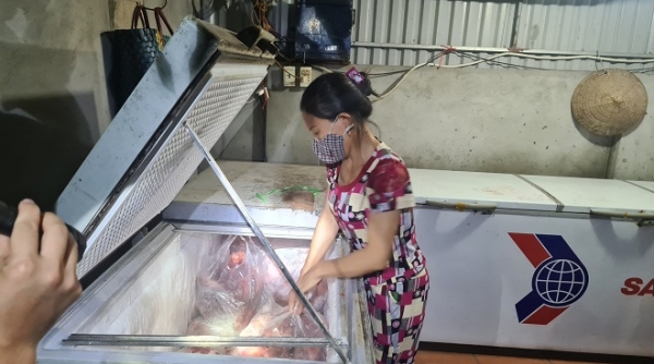 Bắc Giang: Buộc tiêu hủy hàng trăm kg thịt lợn mang mầm bệnh dịch tả lợn châu Phi
