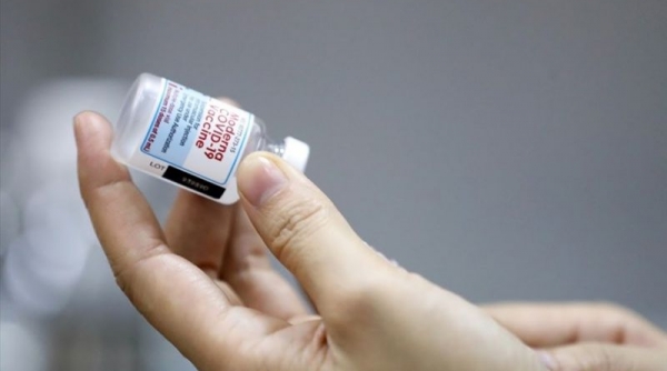 Bộ Y tế đồng ý cho tiêm kết hợp 2 loại vaccine Moderna và Pfizer