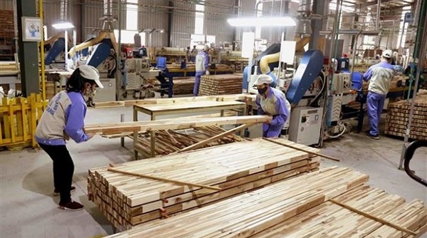 8 tháng đầu năm 2021, ngành gỗ và lâm sản xuất siêu 9,1 tỷ USD