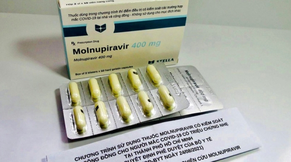 Đồng Nai: Triển khai chương trình sử dụng thuốc Molnupiravir điều trị Covid-19