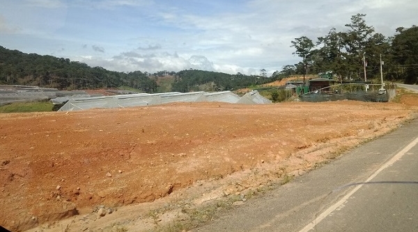 Lâm Đồng: Xử phạt Công ty Phượng Đỏ Đà Loan vì hủy hoại hơn 3ha đất