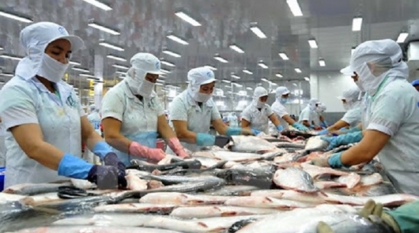 Kiến nghị gỡ khó cho sản xuất cá tra trong nước