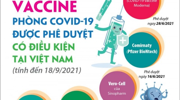 8 loại vắc-xin Covid-19 đã được cấp phép tại Việt Nam