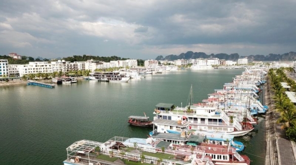 Quảng Ninh tạm dừng cấp phép cho tàu tham quan Vịnh Hạ Long