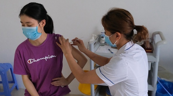 Phú Thọ: Ngành Y tế tiếp nhận thêm 78.800 liều vắc xin phòng COVID-19