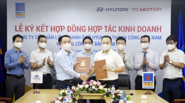 Bảo hiểm PVI hợp tác kinh doanh với Liên doanh Ô tô Hyundai Thành Công Việt Nam