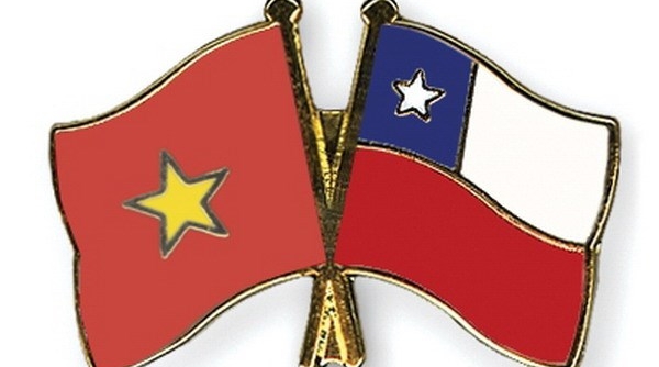 Chi Lê là thị trường tiềm năng cho hàng xuất khẩu của Việt Nam