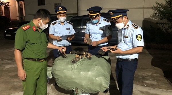 Lạng Sơn: Thu giữ 650 kg nấm không rõ nguồn gốc