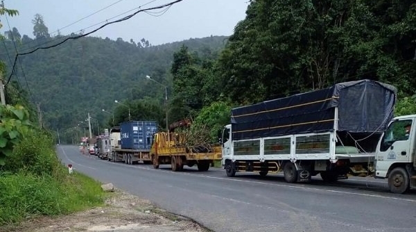 Lâm Đồng: Đề nghị bãi bõ các quy định gây ách tắc lưu thông hàng hóa