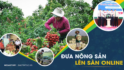 Đắk Lắk: Hỗ trợ đưa hộ sản xuất nông nghiệp lên sàn thương mại điện tử