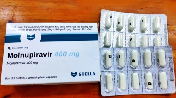 Cà Mau: Đề nghị Bộ Y tế hỗ trợ khẩn cấp thuốc Molnupiravir điều trị bệnh nhân mắc Covid-19