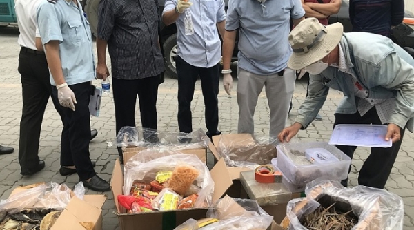 Hải quan TP. Hồ Chí Minh: Phát hiện lượng lớn hàng nhập lậu qua nghi vấn khai báo hải quan