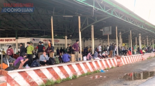 Đà Nẵng: Các nhóm tình nguyện thuê xe khách chở người hồi hương miễn phí về quê