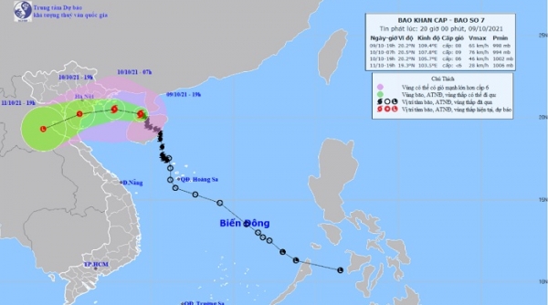 Bão số 7 cập bờ, lại xuất hiện áp thấp nhiệt đới mới trên Biển Đông