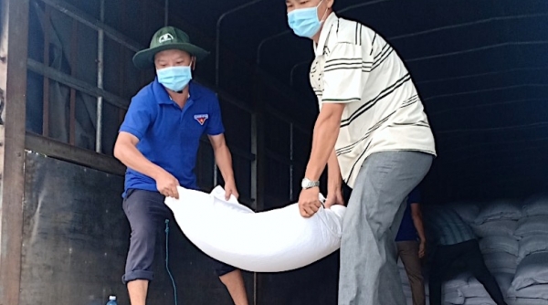 Cà Mau: Phân bổ trên 2.860 tấn gạo từ nguồn dự trữ quốc gia cho người dân gặp khó khăn